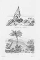 Черно-белое