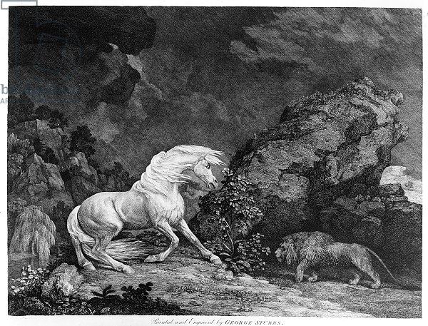 A Horse Affrighted by a Lion, engraved by the artist, 1777