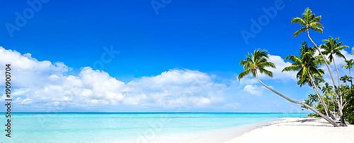 Панорама с морем, солнцем, пляжем и пальмами