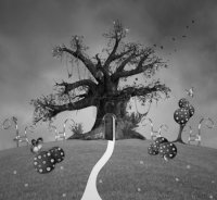 Черно-белое