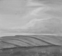 Черно-белое