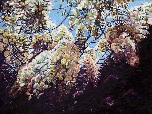 White wisteria, 2012,