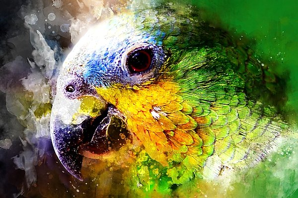 Зеленый акварельный попугай
