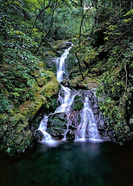 Водопад в дождливом лесу