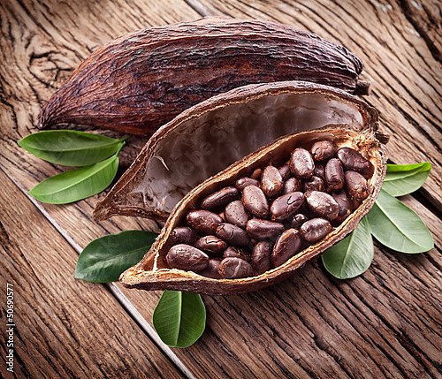 Какао-плоды