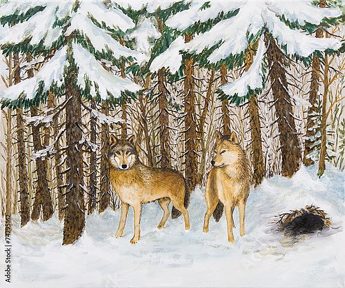 Волки в сосновом лесу