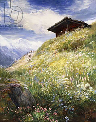 Постер МакВертер Джон An Alpine Meadow, Switzerland, Постер МакВертер Джон An Alpine Meadow, Switzerland,
