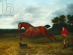 Постер Гилпин Соури (лошади) A groom with a terrier bringing in a high spirited stallion Постер Гилпин Соури (лошади) A groom with a terrier bringing in a high spirited stallion