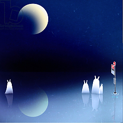 Постер Жао Йойо Portal, 2013 Постер Жао Йойо Portal, 2013