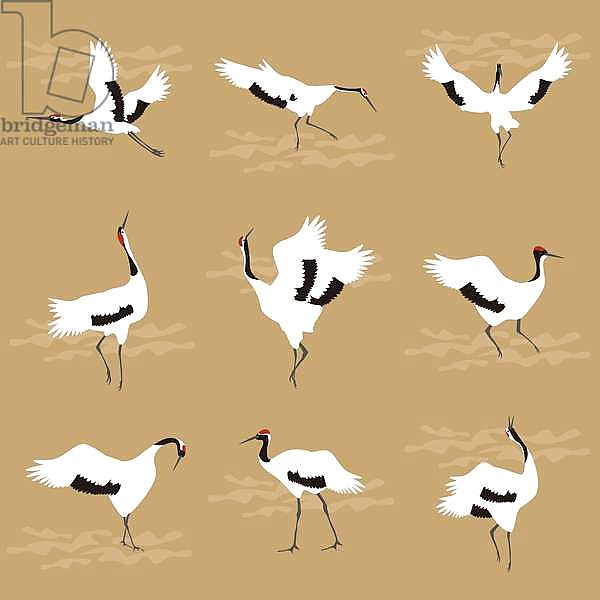 Oriental Cranes