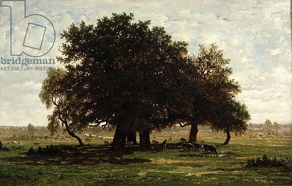 Holm Oaks, Apremont, 1850-52