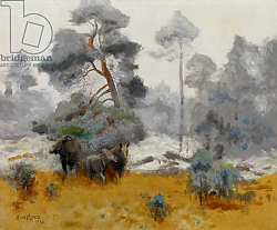 Постер Лильефорс Бруно Moose Family Entering a Clearing, 1930 Постер Лильефорс Бруно Moose Family Entering a Clearing, 1930