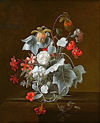 Постер Верель Симон Still Life 9 Постер Верель Симон Still Life 9