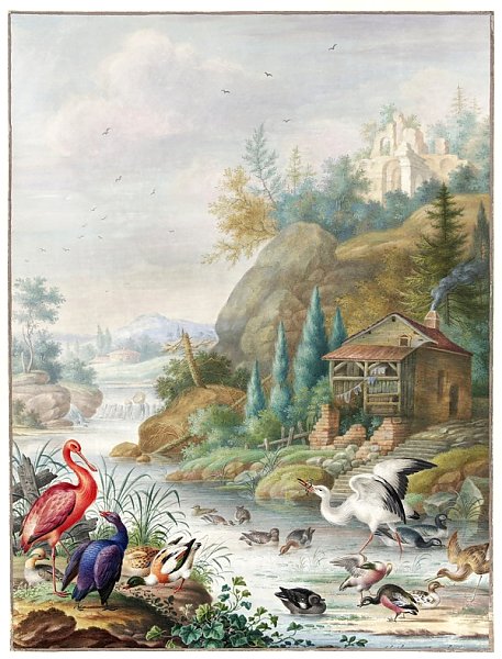 Птицы возле горного ручья