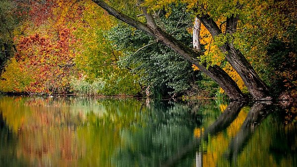 Осенний лес, отражающийся в реке