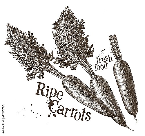Иллюстрация с морковками