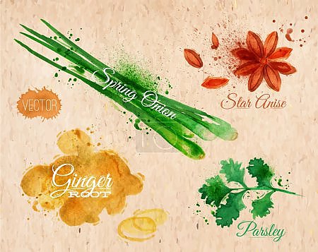 Звезда аниса, петрушка, зеленый лук