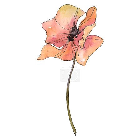 Нежное прикосновение