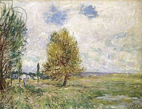 La Plaine de Veneux-Nadon, 1881