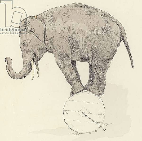 Elephant balancing