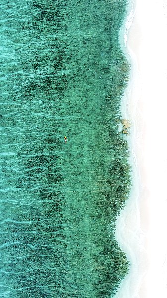 Постер Одинокий серфер на пустынном белом пляже