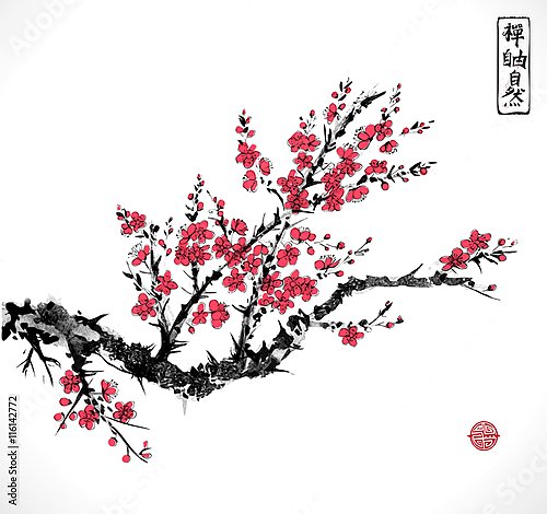 Восточная красная сакура в цвету 