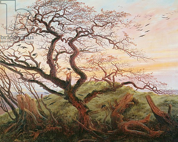 The Tree of Crows, 1822
