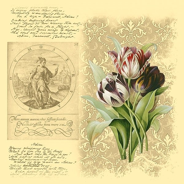 Винтажная иллюстрация с тюльпанами