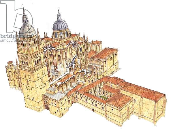 Salamanca Cathedral. Spain