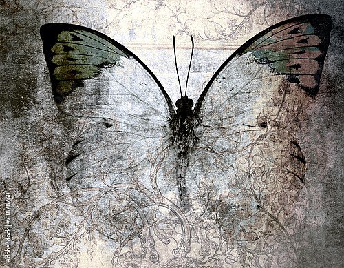Бабочка на серой гранж текстуре