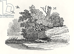 Постер Бевик Томас Fox escaping, from 'The General History of Quadrupeds', published 1790 Постер Бевик Томас Fox escaping, from 'The General History of Quadrupeds', published 1790