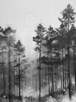 Черно-белое