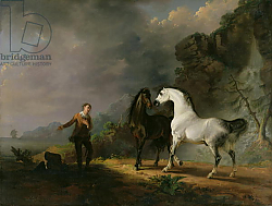 Постер Гилпин Соури (лошади) Gulliver Addressing the Houyhnhnms, 1769 Постер Гилпин Соури (лошади) Gulliver Addressing the Houyhnhnms, 1769
