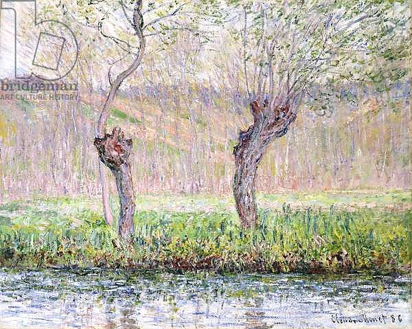 Spring, Willows, 1885
