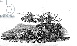 Постер Бевик Томас Man Seated by a Stunted Tree from 'History of British Birds and Quadrupeds' Постер Бевик Томас Man Seated by a Stunted Tree from 'History of British Birds and Quadrupeds'