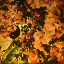 Постер Бернат Сильвер (совр) Yin within Yan, 2012, Постер Бернат Сильвер (совр) Yin within Yan, 2012,