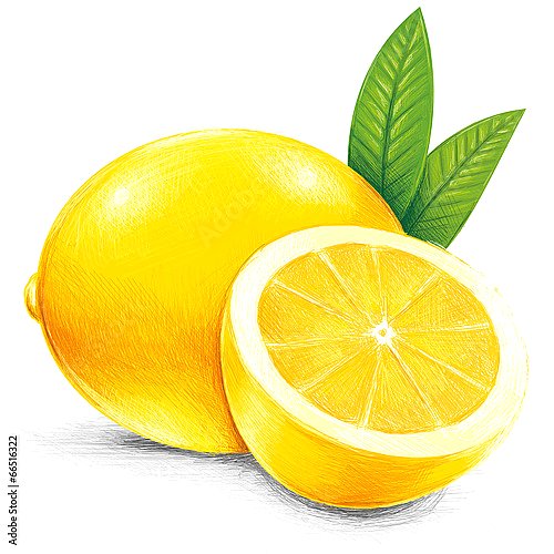 Желтый нарисованный лимон