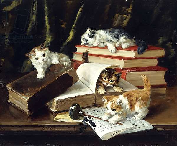 Kittens Playing on Desk,