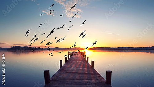 Мост в озеро на закате и птицы