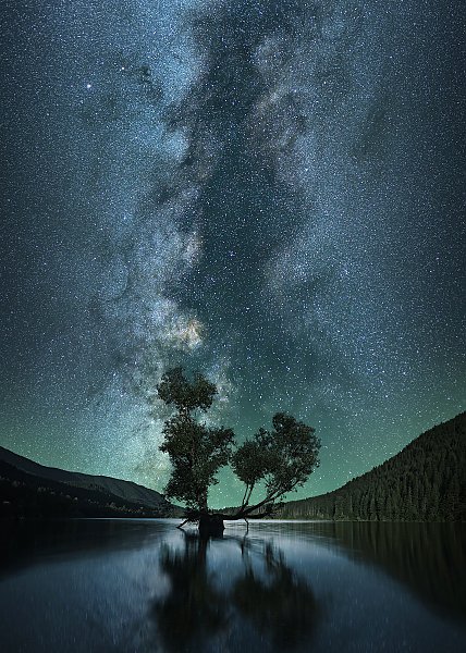 Дерево посреди озера под звездным небом