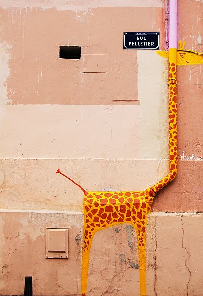 Жираф на водосточной трубе