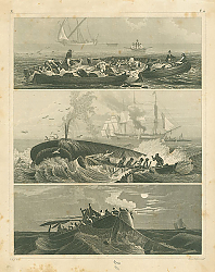 Постер Iconographic Encyclopedia: морское рыболовство 1