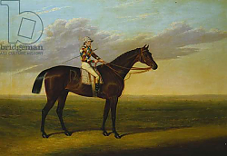 Постер Дэлби Давид Mr Richard Watt's Bay Racehorse 'Rockingham' with Sam Darling up, on a Racecourse Постер Дэлби Давид Mr Richard Watt's Bay Racehorse 'Rockingham' with Sam Darling up, on a Racecourse
