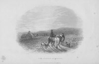 Черно-белое