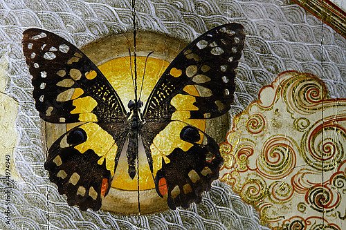 Чёрно-жёлтая бабочка с орнаментом