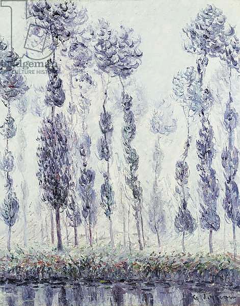 Poplars on the Eure, 1900