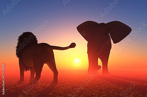 Лев и слон на закате