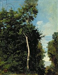 Постер Коро Жан (Jean-Baptiste Corot) The Wood on the Cote de Grace in Honfleur Постер Коро Жан (Jean-Baptiste Corot) The Wood on the Cote de Grace in Honfleur