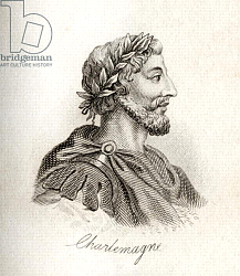 Постер Кук Д. В. Charlemagne, King of the Franks Постер Кук Д. В. Charlemagne, King of the Franks