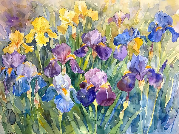 Watercolor etude with irises